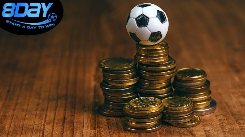 Cách đặt cược thể thao 8day chi tiết dễ hiểu 2 Tổng quan về nền tảng 8day